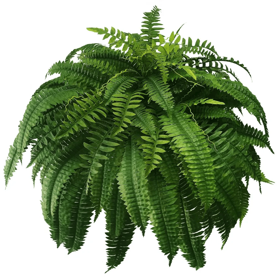 🔥Today Only $19.99🔥UV Resistant Lifelike Artificial Boston Fern